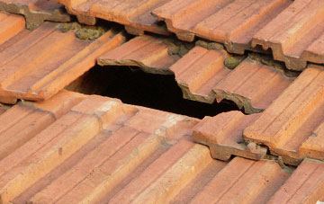 roof repair Wyke Green, Devon